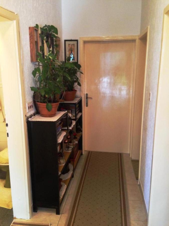 Guest House Ruza Дубровник Екстериор снимка